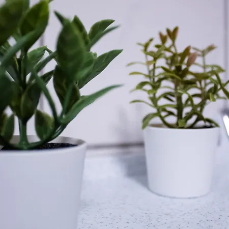 Haus Seeland 1 Whg. 13 דירה